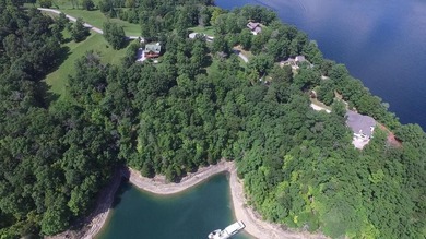Beautiful lake front building lot located in Hickory Point - photo 10