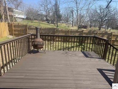 Fully Renovated, Like-New 3 Bedroom, 3 Bath Home with Modern - photo 3
