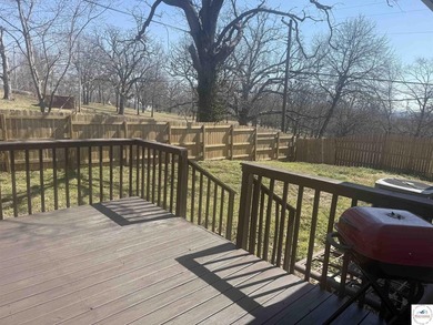 Fully Renovated, Like-New 3 Bedroom, 3 Bath Home with Modern - photo 4