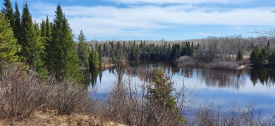 116+/- acres with quarter mile of frontage along the Orr/Buyck - Lake Lot For Sale in Orr, Minnesota