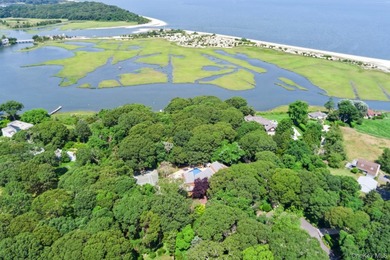 Tucked away on 1.4 acres of lush, landscaped grounds, this - photo 1