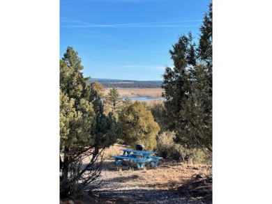 Heron Lake Acreage For Sale in Rutheron New Mexico