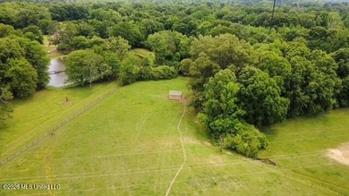 Welcome to Walnut Creek Farm - 840 I-55 South Frontage Road - photo 12