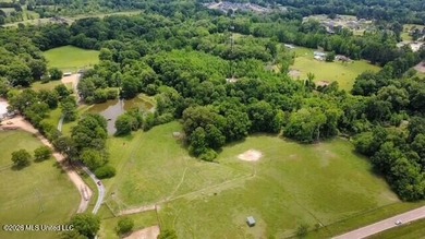 Welcome to Walnut Creek Farm - 840 I-55 South Frontage Road - photo 15