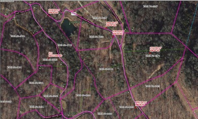Lake Glenville Acreage For Sale in Glenville North Carolina