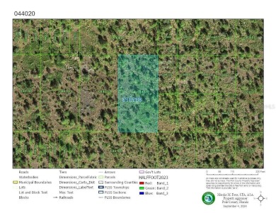 Reedy Lake Lot For Sale in Frostproof Florida