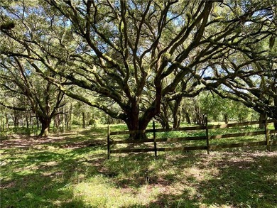 *USDA Approved Area - No Down Payment for Eligible Buyers!* - photo 47