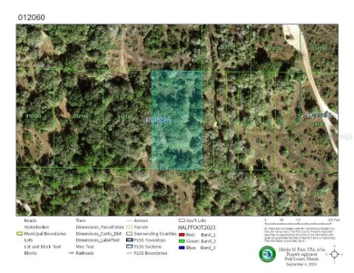 Lake Lot For Sale in Frostproof, Florida