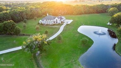 Situated on approximately 12 acres in Lafayette Parish, this - photo 1