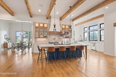 Situated on approximately 12 acres in Lafayette Parish, this - photo 10