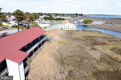 Renovated waterfront 2BR/2BA double efficiency unit at - photo 3