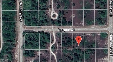 Lehigh Acres Area Lot For Sale in Lehigh Acres Florida