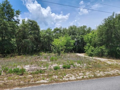 Lake Lot For Sale in Dunnellon, Florida