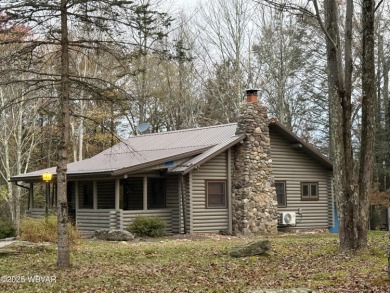 Lake Home For Sale in Muncy Valley, Pennsylvania