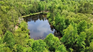 (private lake, pond, creek) Acreage For Sale in Seale Alabama