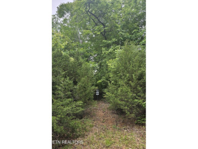Lake Lot For Sale in New Tazewell, Tennessee