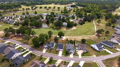 Welcome to Gregory Pointe at Deercreek Plantation! This - photo 9