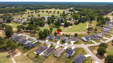 Welcome to Gregory Pointe at Deercreek Plantation! This - photo 10