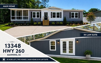 Welcome to 13348 Highway 260 in Manning, SC-a rare opportunity - photo 1