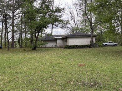 Fine Camp on 260' of Beautiful Bushley Bayou - photo 10