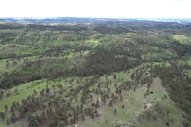 The Custer Legacy Ranch provides a rare combination to today's - photo 2