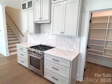 Another opportunity in Hutton Estate! This new construction home - photo 13