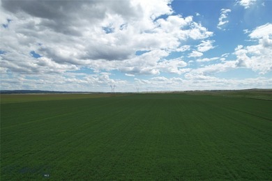 The Custer Legacy Ranch provides a rare combination to today's - photo 3