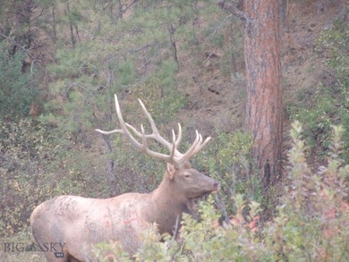 The Custer Legacy Ranch provides a rare combination to today's - photo 9
