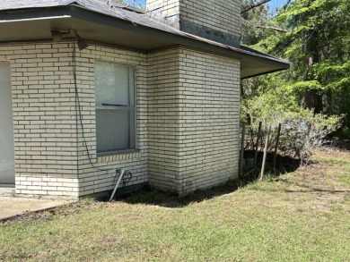 Fine Camp on 260' of Beautiful Bushley Bayou - photo 12