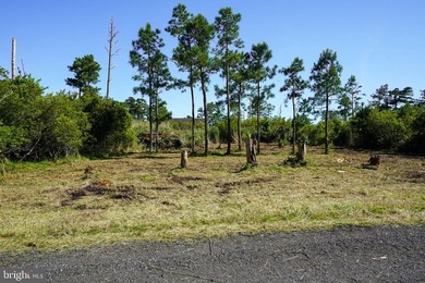 Build your dream coastal retreat in the desirable Piney Island - photo 2