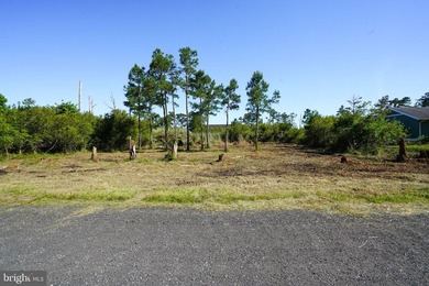 Build your dream coastal retreat in the desirable Piney Island - photo 3