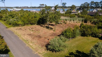 Build your dream coastal retreat in the desirable Piney Island - photo 5