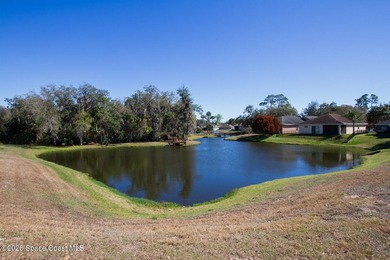 Beautifully upgraded 3BR/2BA home with 1,725 living sq ft (2,500 - photo 34