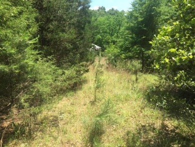 White River Acreage For Sale in Calico Rock Arkansas
