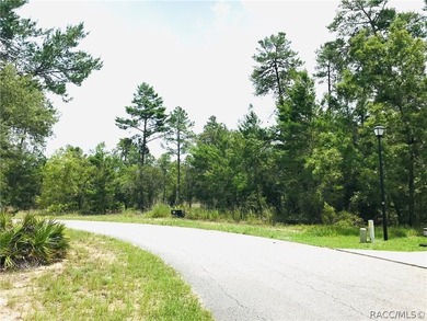 Premium home site in Oak Village at Sugarmill Woods located on a - photo 4