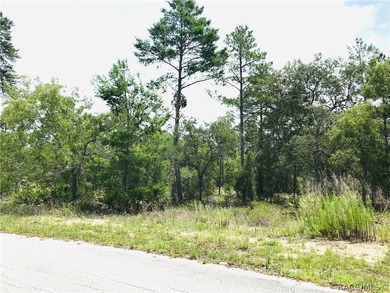 Premium home site in Oak Village at Sugarmill Woods located on a - photo 6