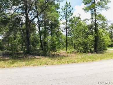 Premium home site in Oak Village at Sugarmill Woods located on a - photo 7