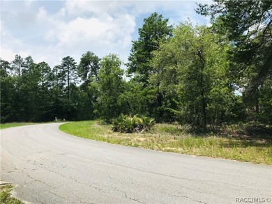 Premium home site in Oak Village at Sugarmill Woods located on a - photo 8