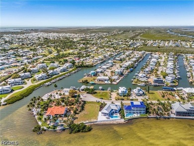 Welcome to a rare direct Gulf access waterfront estate in the - photo 49