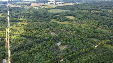 (private lake, pond, creek) Acreage For Sale in Reed City Michigan