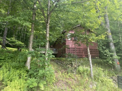 First Lake Home For Sale in Old Forge New York