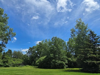 Lake Wissota Lot For Sale in Chippewa Falls Wisconsin