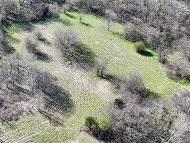 Beautiful 19 acres +/- located just off Highway 77 and Primrose - photo 3