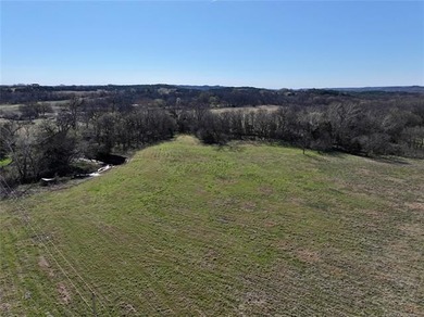 Beautiful 19 acres +/- located just off Highway 77 and Primrose - photo 4