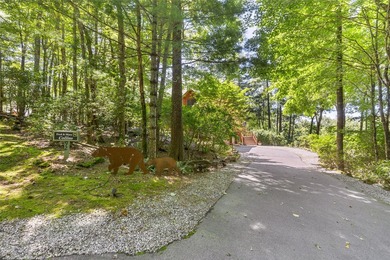 Discover the timeless appeal of mountain living in this classic - photo 7
