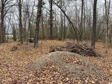 FIRE SALE PRICE FOR THE WINTER. If this doesn't sell over this - photo 13