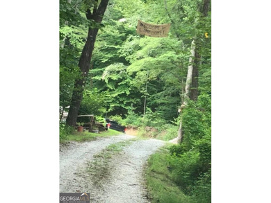 Hollman Hollow Farms is a 38.6 acre parcel located in - photo 15
