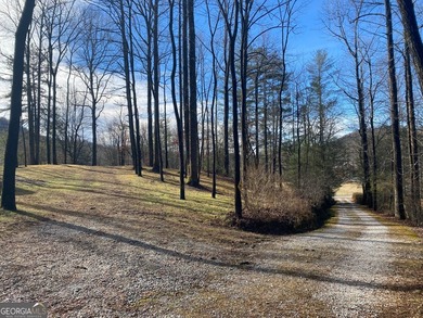 Hollman Hollow Farms is a 38.6 acre parcel located in - photo 16