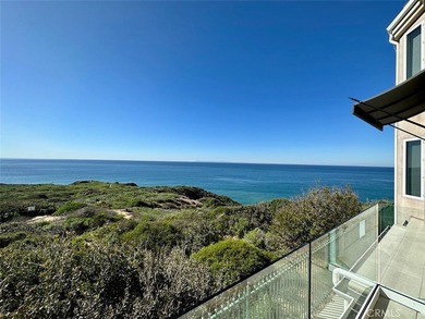34385 Dana Strand Rd. A - photo 27