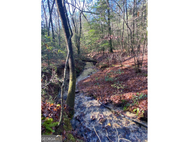 Hollman Hollow Farms is a 38.6 acre parcel located in - photo 29